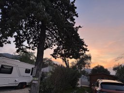 059-11-12-2025 IMG_3182